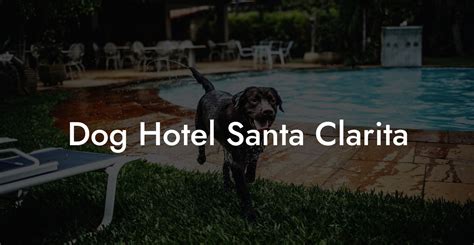 pet friendly hotels in santa clarita|THE 10 BEST Santa Clarita Pet Friendly Hotels .